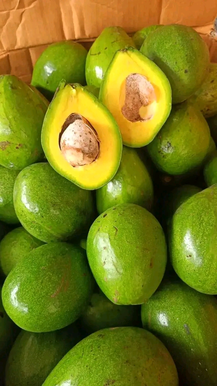 Manfaat Buah Alpukat Bagi Kesehatan, Nomor 2 Jarang Diketahui