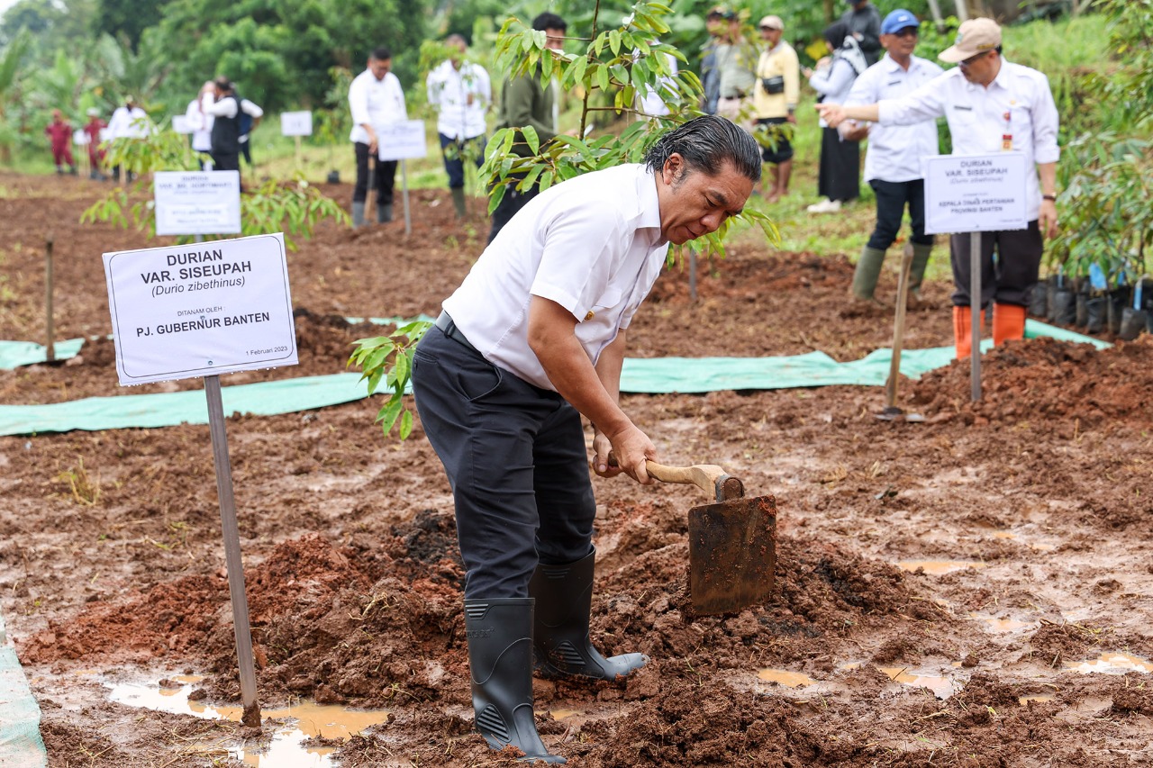 Gerakan Penanaman Seribu Pohon, Provinsi Banten Pilih Tanam Durian Lokal