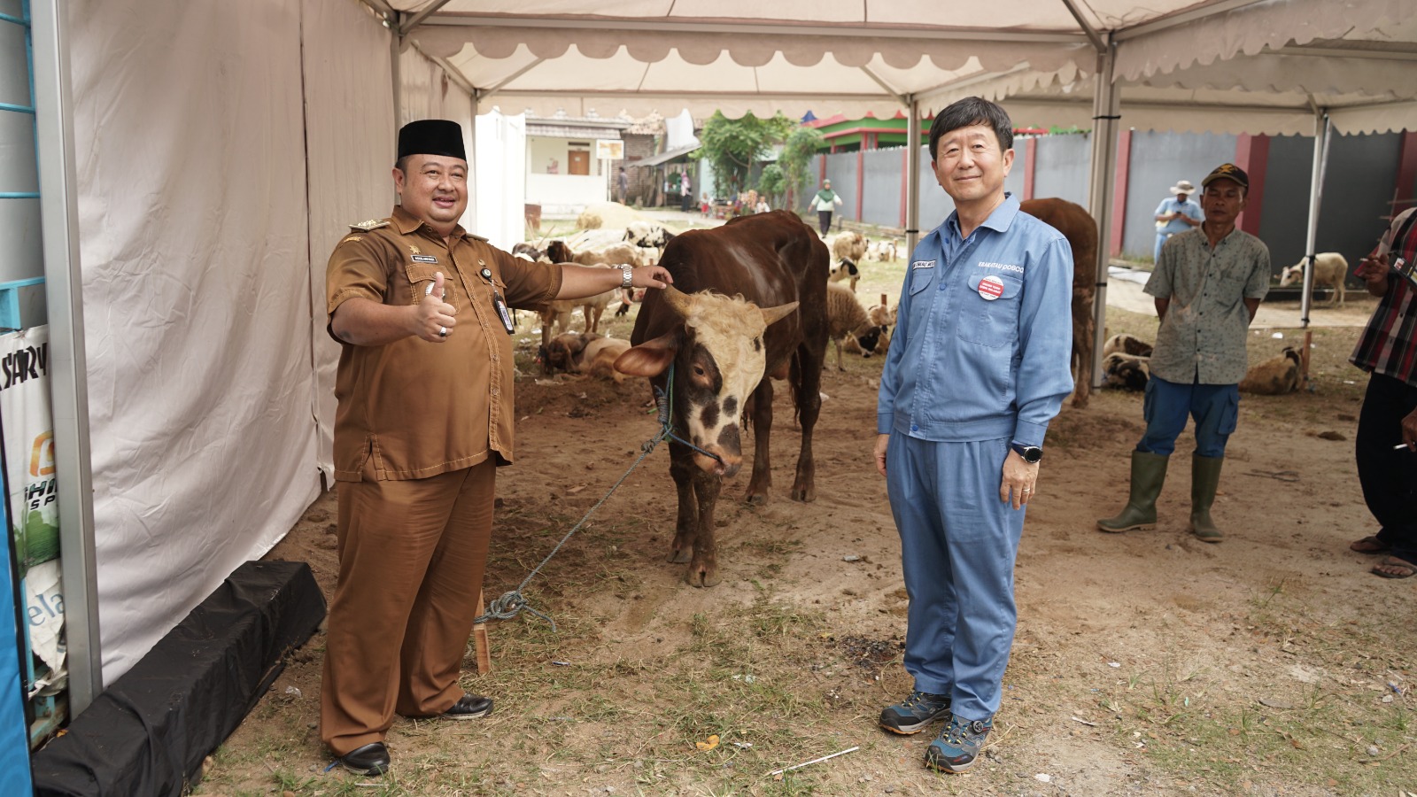 Krakatau Posco Bagikan Puluhan Hewan Kurban
