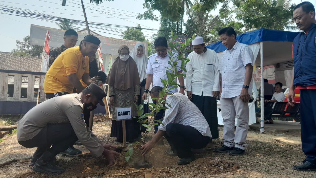 BPTD Banten Taman Ratusan Pohon di Terminal Labuan