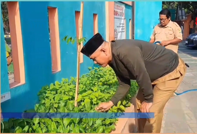 Kelurahan Ramanuju Manfaatkan Pekarangan Untuk Tanam Sayuran