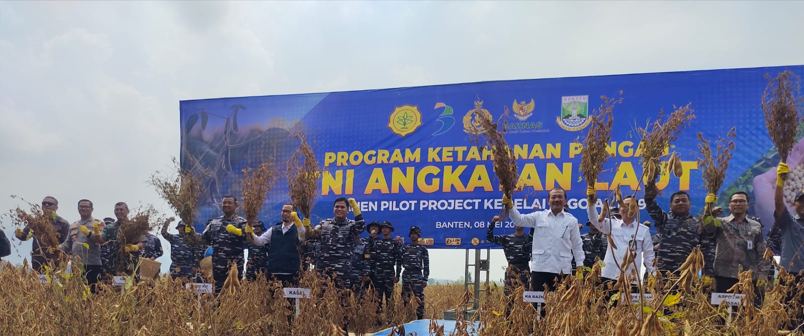 Panen Kedelai di Kabupaten Serang, TNI AL Dorong Kurangi Ketergantungan Kedelai Impor