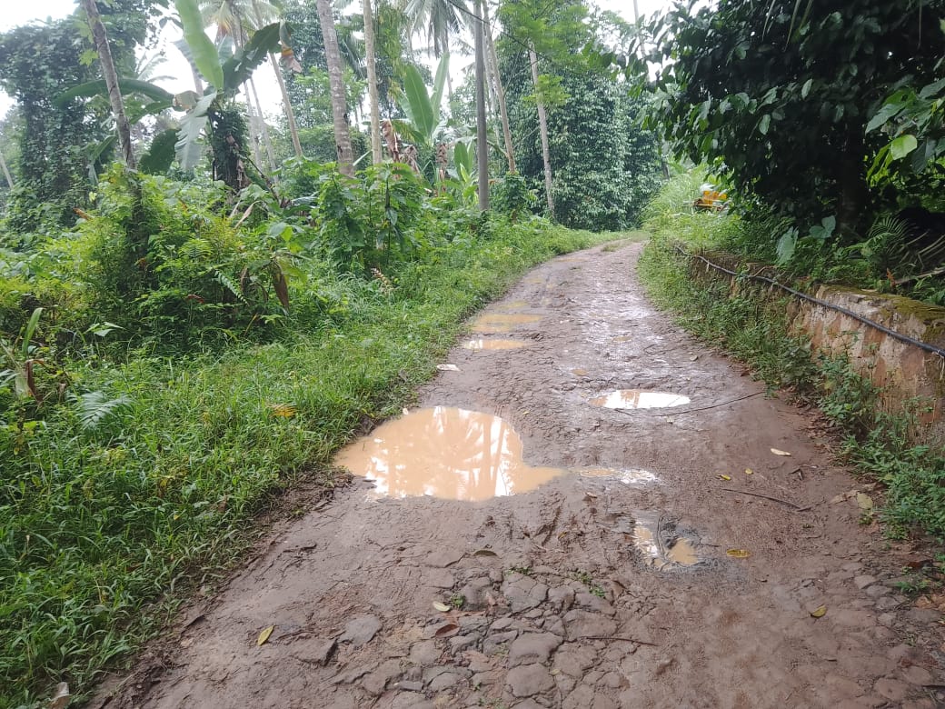 Jalan Rusak 25 Tahun di Kampung Tampakaso: Negara Absen di Tengah Batu dan Lumpur