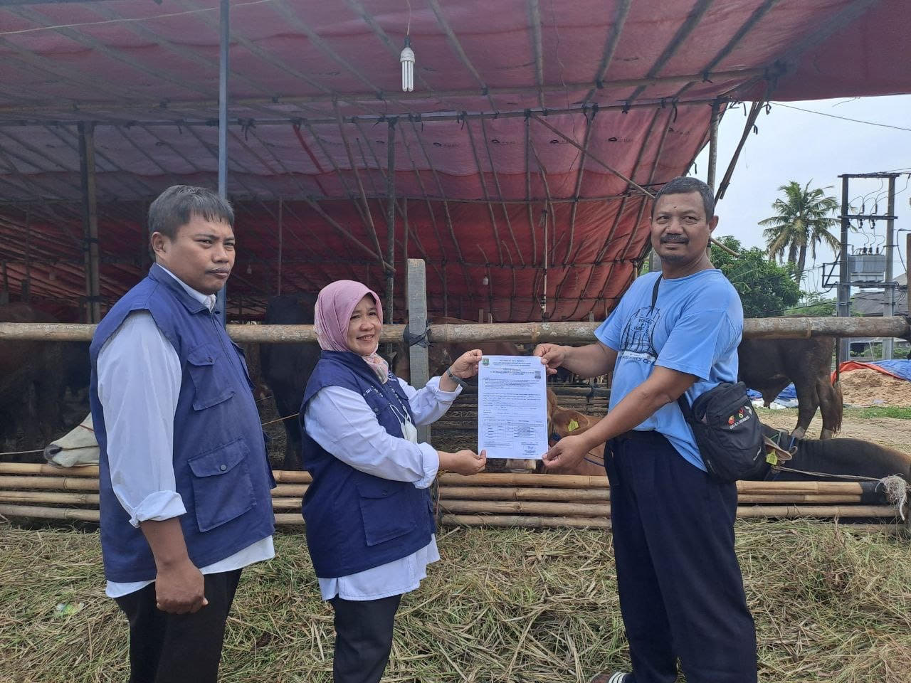 DKPP Cilegon Perketat Pengawasan Kesehatan Hewan Kurban