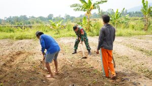Program TMMD ke-128 Kodim Cilegon, Lahan Tidur 10 Hektar Disiapkan untuk Ketahanan Pangan