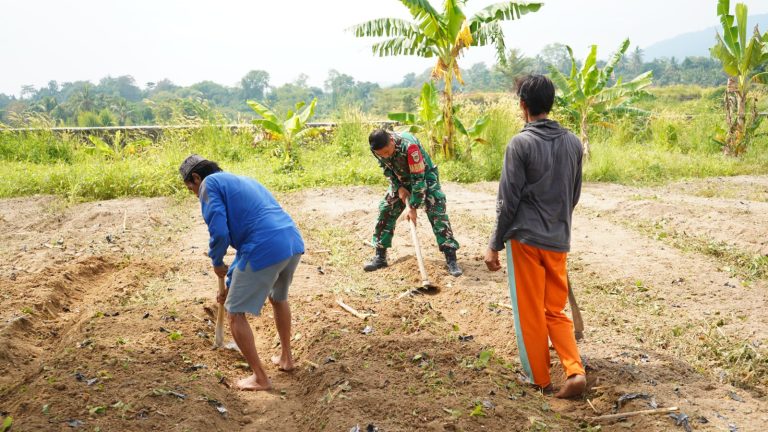 Program TMMD ke-128 Kodim Cilegon, Lahan Tidur 10 Hektar Disiapkan untuk Ketahanan Pangan