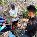 Hari Mangrove Sedunia: Ketika Bibit Mangrove Mumbuhkan Harapan dan Ekonomi Masyarakat Pesisir