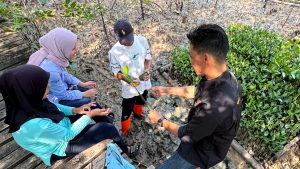 Hari Mangrove Sedunia: Ketika Bibit Mangrove Mumbuhkan Harapan dan Ekonomi Masyarakat Pesisir
