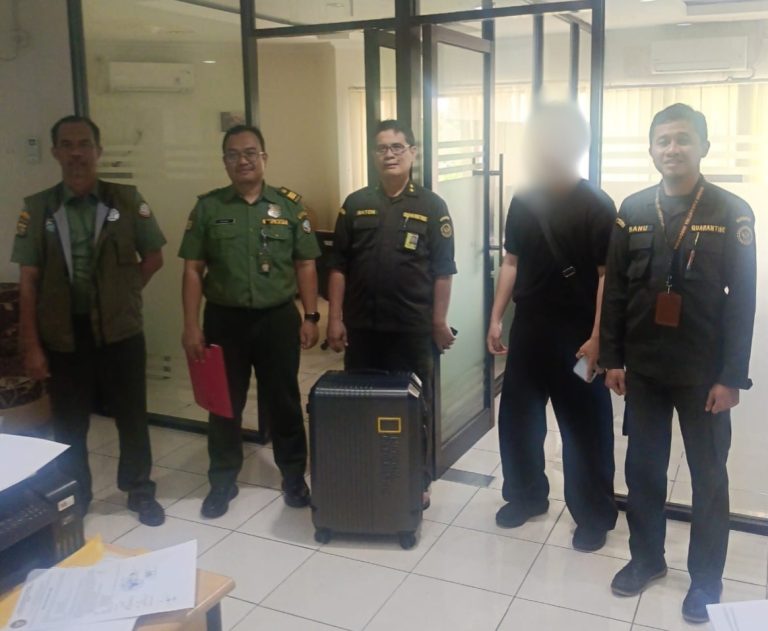 Selundupkan 8 Biawak Dalam Koper Pakaian, WN Korsel Diciduk Petugas Gabungan